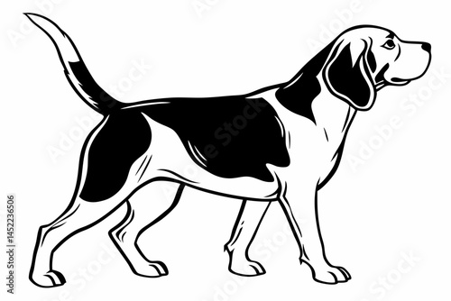 beagle sihouette black vector