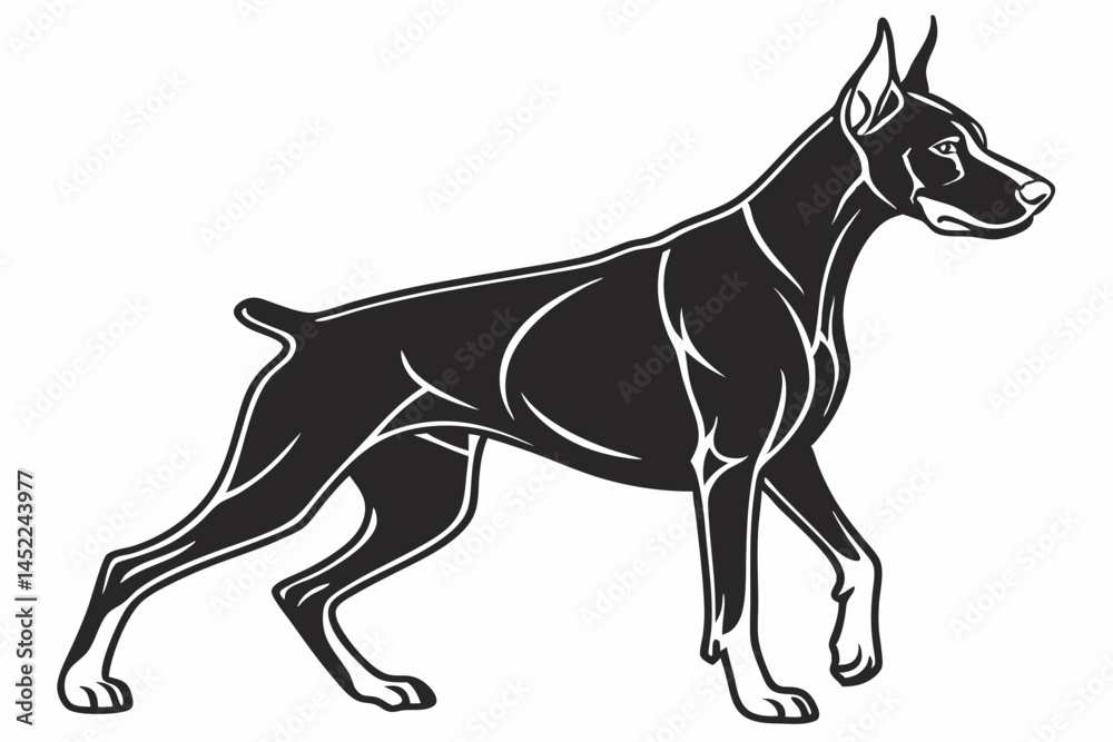 Obraz premium doberman sihouette black vector