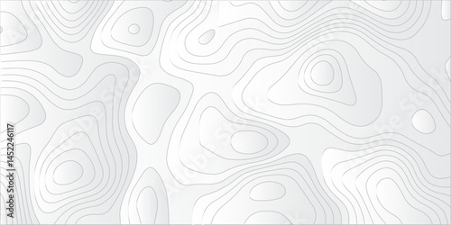 "Generate a seamless abstract background with topographic contour lines in soft gray on a white surface. The lines should vary in curvature and density, mimicking the appearance of a geographic elevat