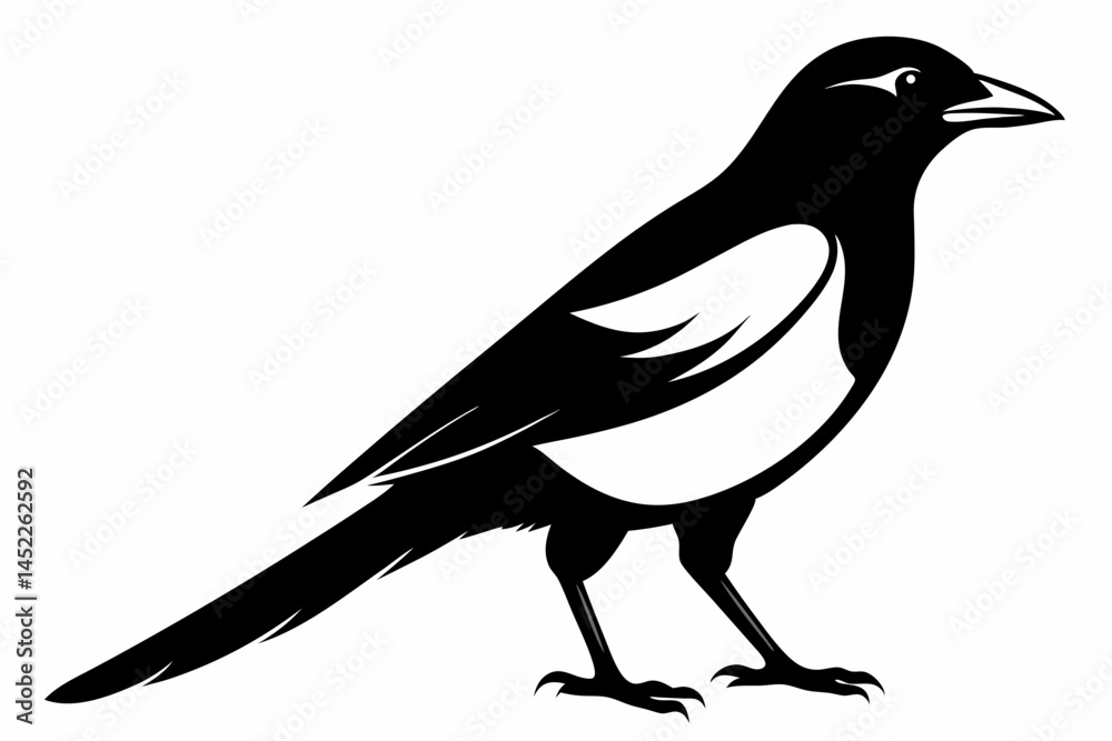 Fototapeta premium magpie sihouette black vector