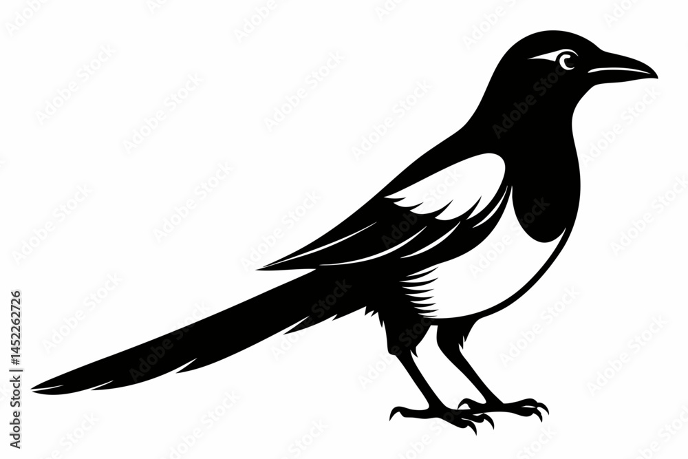 Fototapeta premium magpie sihouette black vector