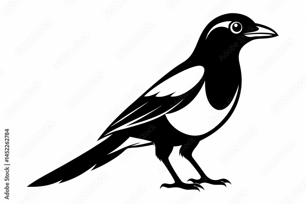 Fototapeta premium magpie sihouette black vector