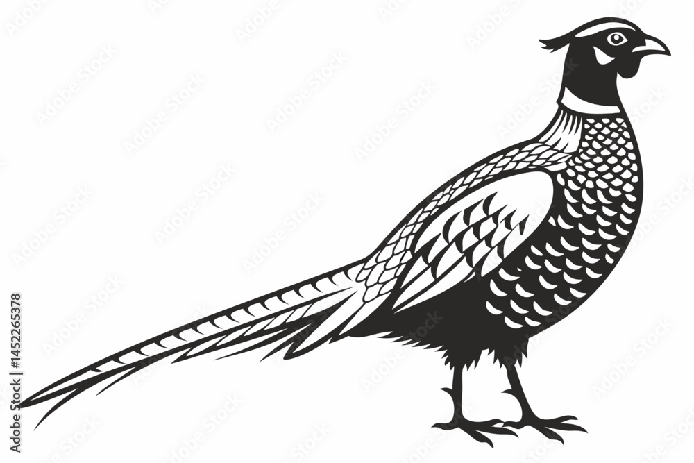 Fototapeta premium pheasant sihouette black vector