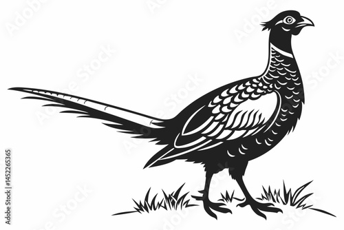 pheasant sihouette black vector
