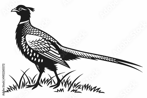 pheasant sihouette black vector