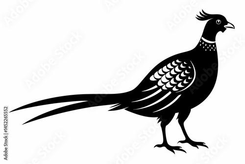 pheasant sihouette black vector