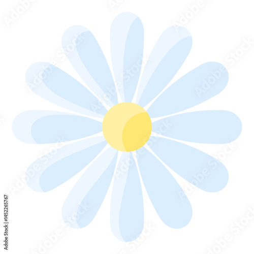Aster