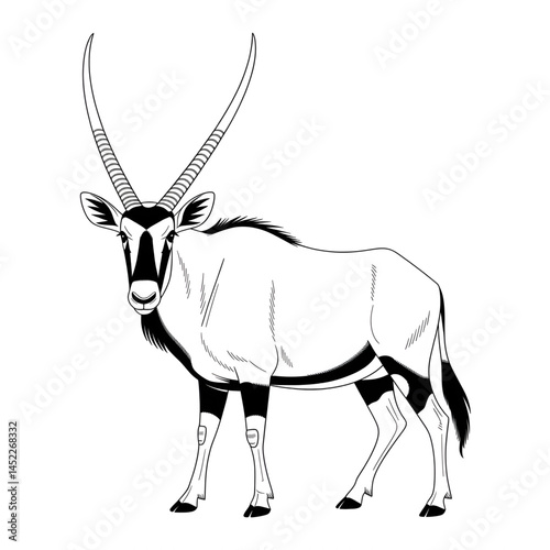 ‎A black and white oryx illustration line art of a coloring page