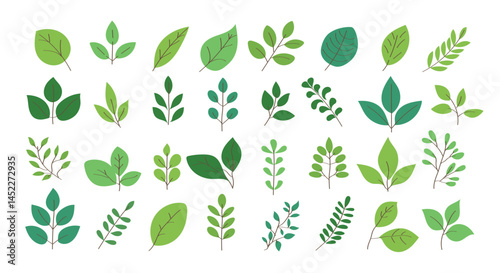 Collection of 30 green leaf illustrations in flat style. Various plant and botanical designs with different shapes, veins, and stem arrangements. Ideal for eco-friendly projects, organic product label