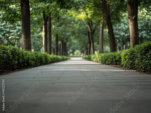 Wallpaper Mural Blurred park pathway with dappled sunlight through trees, green natural color palette Torontodigital.ca