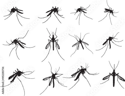 Mosquito Silhouette Vector Set for Pest Control and Insect Design
