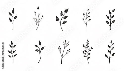 Set Of Minimalist Black And White Branch And Leaf Illustrations For Design