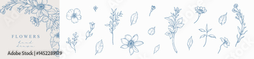 Hand drawn vintage flowers, branches and leaves set. Elegant vector graceful blue botanical elements for wedding invitation, save the date, pattern for packaging, tattoo, greeting card