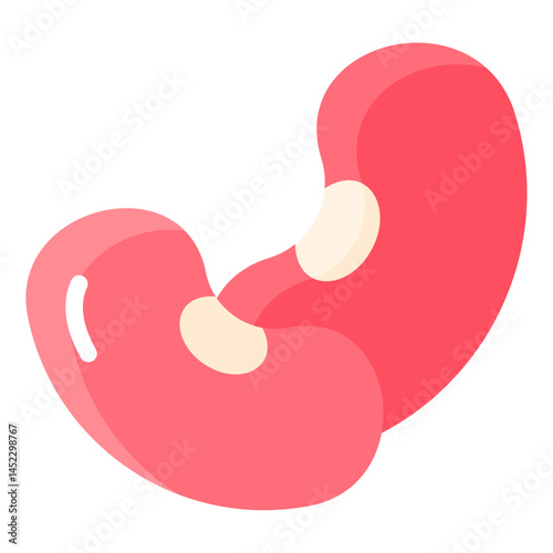 Bean