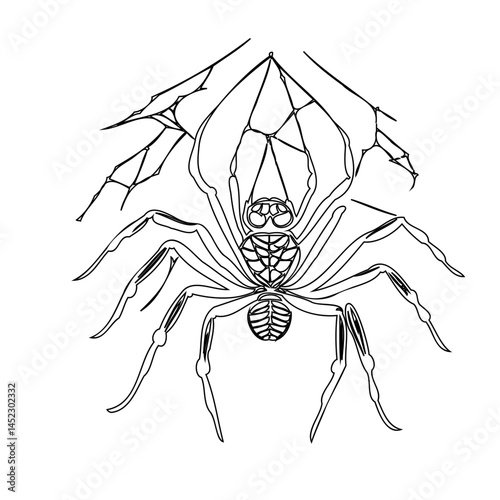 Intricate line drawing of a spider dangling from a web, minimalist design