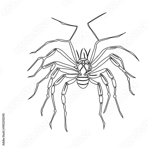 Delicate monochrome arachnid design illustrating meticulous detailing and form