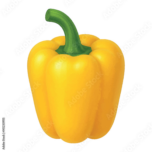 Yellow bell pepper vector illustration isolated on white background - realistic sweet vegetable for organic food packaging, grocery design, and healthy eating concepts etc.