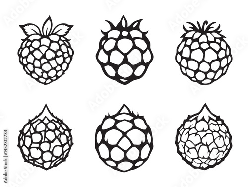 Beautiful Raspberry Line Art Illustrations for Premium Stock Vector Designs