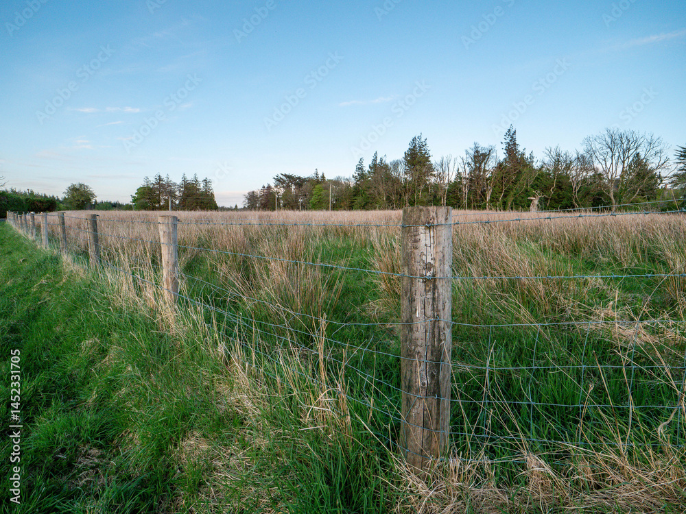 Fototapeta premium Fence with old wooden poles and sharp barber protecting field with tall grass from trespassing. Trees and blue cloudy sky in the background. Security and safety of private land concept.
