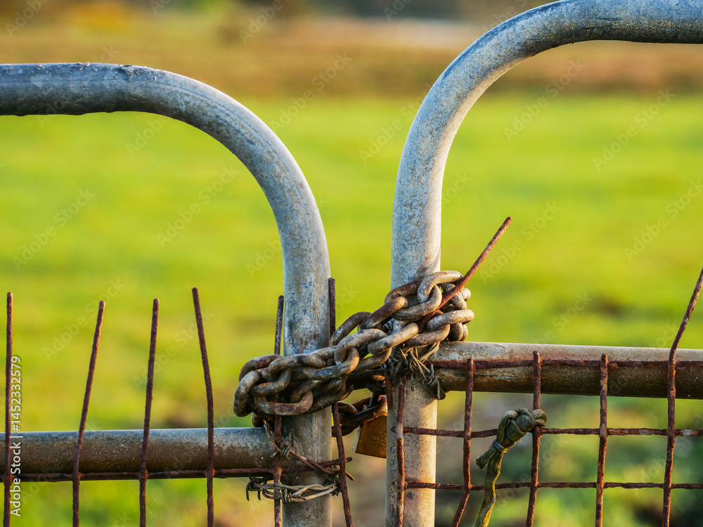 Strong powerful meatal chain and lock in focus. Green field out of focus. Measure to protect private land from trespassing. Security and safety of agriculture land assets.
