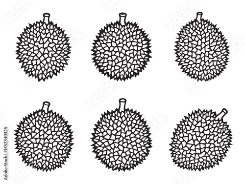 Detailed Durian Line Art for Illustrations and Graphics