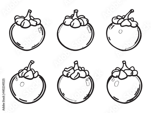 Detailed mangosteen line art for botanical fruit themed artwork