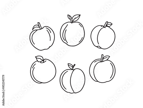 Detailed Nectarine Line Art for Beautiful Vector Illustrations