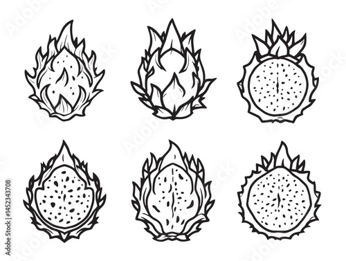 Dragonfruit Line Art Illustration for Print and Web