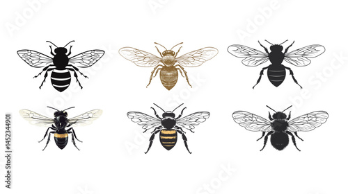 Bee vector graphic design on a white background, featuring a detailed and realistic illustration of a bee, ideal for environmental, nature, and ecology-themed projects.