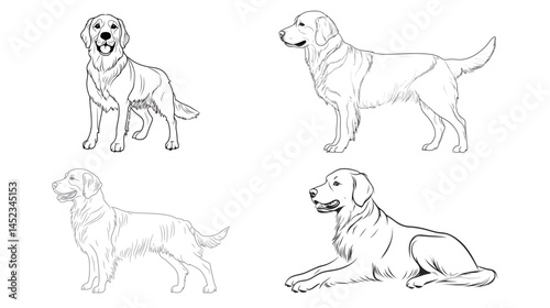 Black and white outline of a popular dog breed, showing distinct features and playful character, perfect for pet lovers and animal illustrations in a simple, clean vector style.