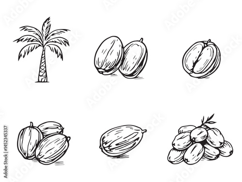 Elegant Date Apple Line Art for Organic Product Illustrations