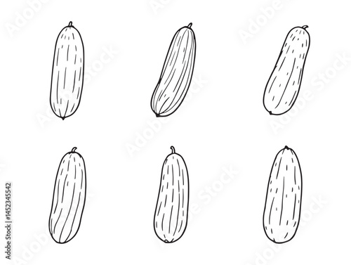 Elegant Cucumber Line Art Style for Organic Designs