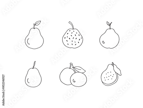 Elegant Medlar Line Art for Modern Art and Illustrations
