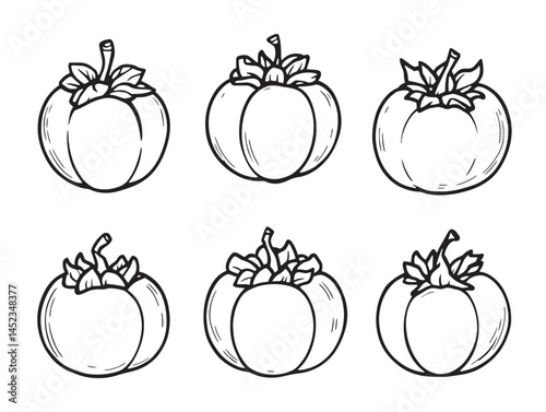 Elegant Persimmon Line Art for Graphic Design Needs