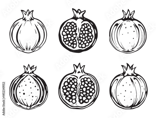 Elegant Pomegranate Line Art for Modern Graphic Projects
