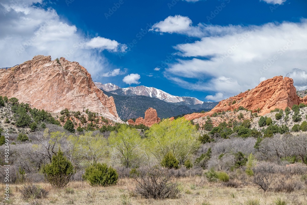 Fototapeta premium garden of the gods, colorado