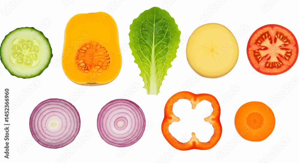 Round slices of vegetables and a lettuce leaf arranged on a transparent white background without side shadows. Vector Illustration Round slices of vegetables and a lettuce leaf arranged on a transparent white background without side shadows. Vector Illustration