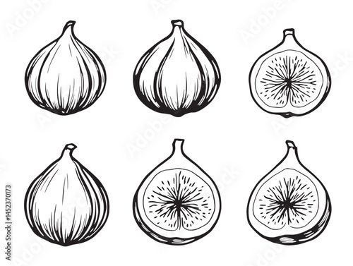 Line art fig illustration ideal for farm fresh market visuals