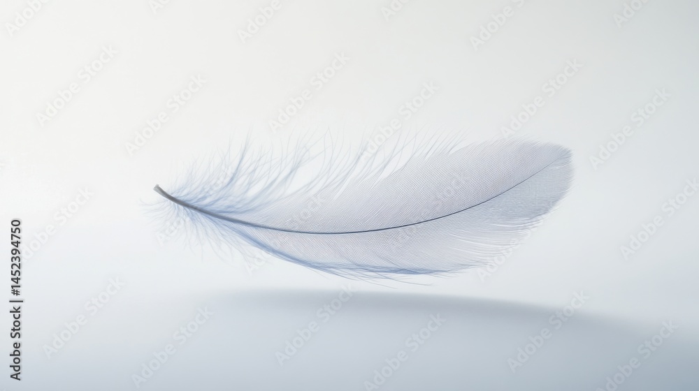 Obraz premium Delicate feather floats gently against a seamless soft gray backdrop, evoking feelings of lightness and graceful movement