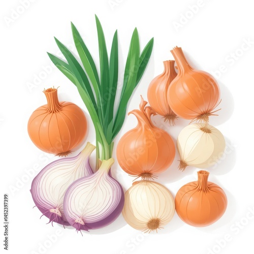 Onions Flavorful Bulbs That Bring Every Dish to Life