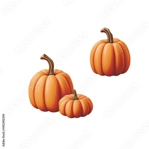 autumn pumpkins on white background