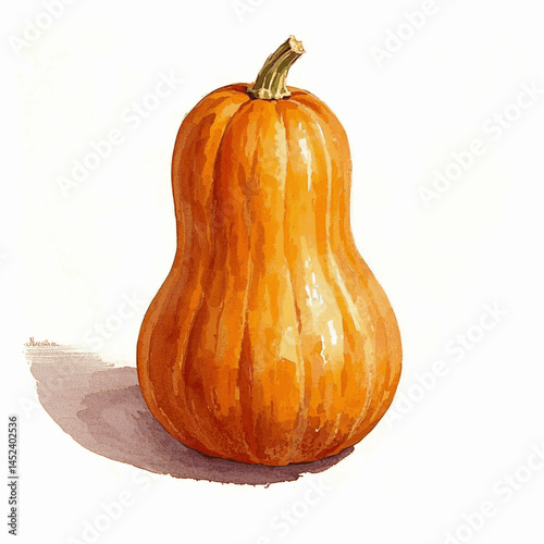 Amber Flow butternut squash isolated watercolor vector illustration svg