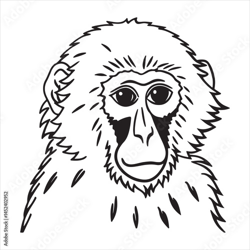 Snow Monkey Bathing in Hot Spring – Japanese Macaque Winter Wildlife
