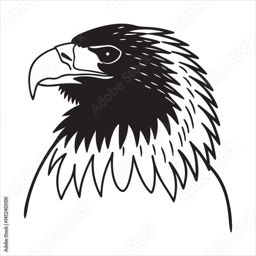 Powerful Close-Up of Steller’s Sea Eagle in Natural Habitat