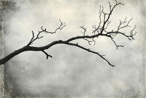 Dead tree branches