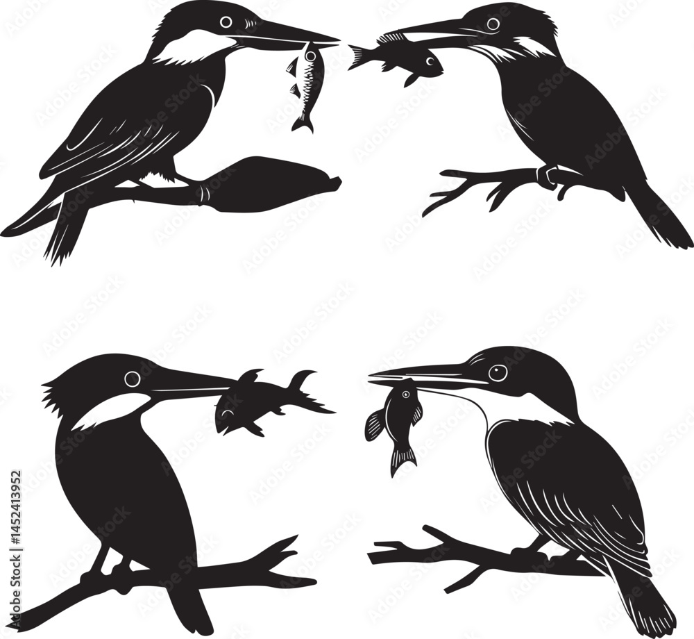 Fototapeta premium Kingfisher holding fish in water silhouette vector