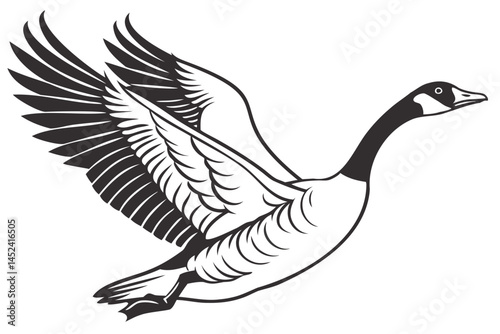 Flying goose vector illustration canada goose clip art waterfowl bird drawing wildlife animal migration design 100 isolated on transparent background