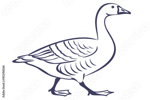 Goose drawing illustration of a walking waterfowl bird outline vector image for design and creativity use isolated on transparent background
