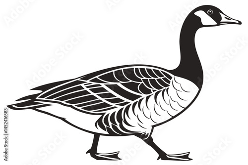 Detailed black and white illustration of a goose walking with its neck stretched forward vector drawing isolated on transparent background