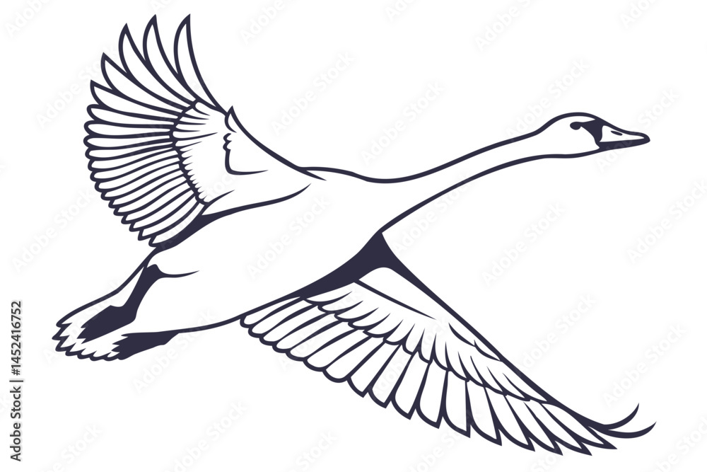 Flying swan vector illustration for wildlife art projects and bird watching themed designs and educational materials isolated on transparent background Flying swan vector illustration for wildlife art projects and bird watching themed designs and educational materials isolated on transparent background